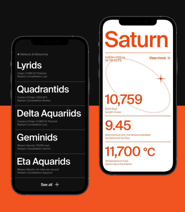Top Web Development Company | WordPress, Laravel & Custom Solutions